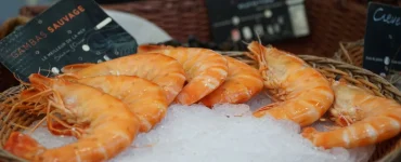 choisir meilleurs produits ligne