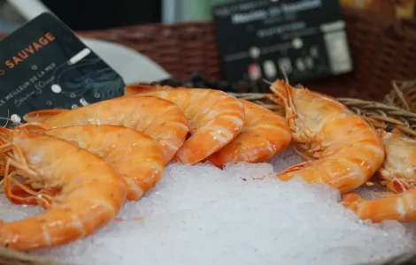 choisir meilleurs produits ligne