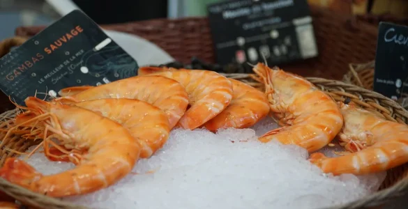 choisir meilleurs produits ligne