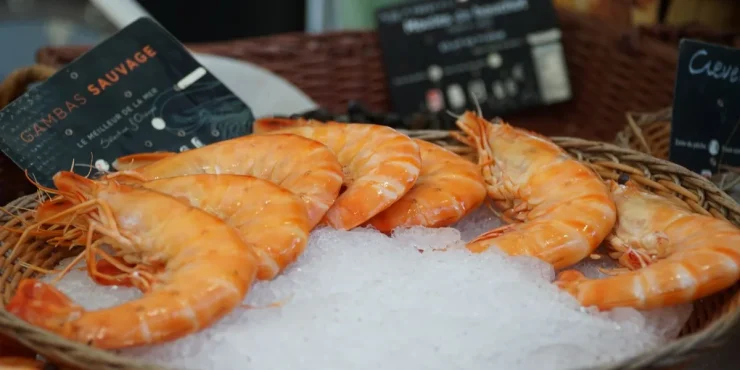 choisir meilleurs produits ligne
